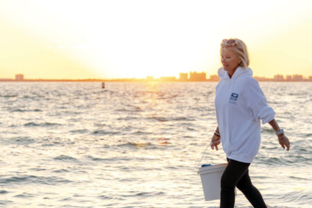 article image - SCCF SEA TURTLE SEASON START